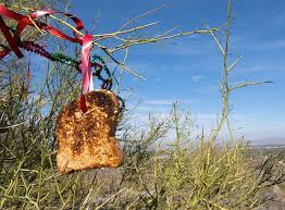 Choose from hundreds of free christmas tree pictures. Desert Christmas Tree With Wildlife Treats