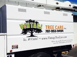 Update video of our several dwarf santa rosa plum trees. Vehicle Graphics For Vintage Tree Care Inc Wine Country Signs Signs Vehicle Graphics And Printing