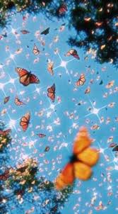 Fondo Aestechic De Mariposa Fondos Para Fotos Tumblr Fondos De Pantalla Reggae Ideas De Fondos De Pantalla