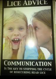 certified head lice specialist, 1444 Yorktown Dr, Lawrenceville, GA 30043,  US