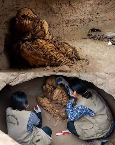 Archaeologists in Peru found a mummy tied with ropes in fetal position  surrounded by various offering materials in the archaeological complex of  Cajamarquilla, located east of Lima. The body reportedly belongs to