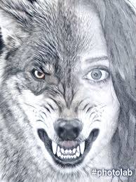 Pin By Yanna May On Desen Evolution Art Native American Wolf Human Face Drawing