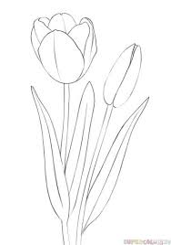 How To Draw A Tulip Step By Step Drawing Tutorials Flower Drawing Tutorials Tulip Drawing Drawing Tutorials For Kids