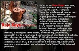 Buah ini rasanya manis dengan daging buah yang tebal. Minyak Lintah Teras Gemunggal Tingkatkan Syahwat Tambah Saiz Pelbagai Guna
