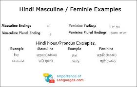 Hindi Language Grammar Guide Rules Verbs Adjective Words In 2020 Learn Hindi English Vocabulary Words Learn English Words