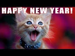 Funny Cats Sing New Years Happy New Year Song Happy New Year Funny Kittens Cutest Baby