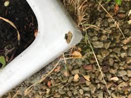 belfast sink garden planter for sale in