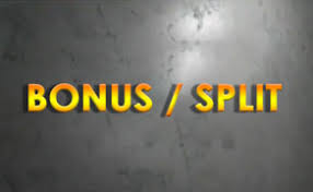See companies where a person holds over 1% of the shares. How Does A Company Choose Between A Bonus And Stop Split Motilal Oswal