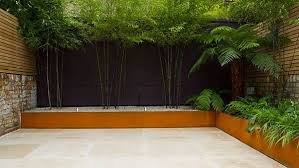 Best of all, indoor bamboo plants look great in containers. Plants For Contemporary Gardens Uk Urban Garden Design Bamboo Garden Contemporary Garden
