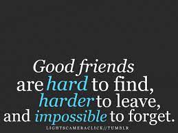Best Friend Quotes Friendship Quotation Good Friends Are Hard To Find Motivational Quotes For Love Friends Quotes