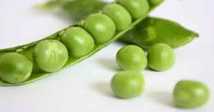 Check spelling or type a new query. Ayo Mulai Konsumsi Kacang Kacangan Jika Ingin Sehat Artikel Pertanian Terbaru Berita Pertanian Terbaru