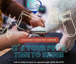 Average price from the last week across all auction houses. Pleasant Paws Pet Center Pleasantpawspet Twitter