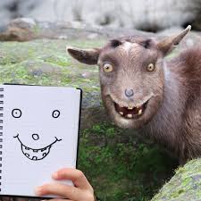 We did not find results for: A Dad Recreates His Kids Animal Doodles Things I Have Drawn