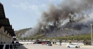 Вместе с тем, отмечается, что отдыхающим на курортах антальи лесные пожары не угрожают. Lesnye Pozhary V Turcii Postradali Populyarnye Kurorty Telegraf