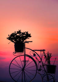 تم الانتهاء من كتابة تدوينة صور بدون كلام 2021 خلفيات حلوة متنوعه w,v f],k ;ghl اتمنى ان تنال اعجابكم الصور جميعا نسعى دائما لتقديم كل ماهو ممتع لكم فاتمنى ان نكون عند حسن ظنكم جميعا فارجو دعمنا وتشجيعنا على تقديم الافضل. Ø®Ù„ÙÙŠØ§Øª ÙˆØ§ØªØ³ Ø§Ø¨ Ø­Ø²ÙŠÙ†Ø© Ø¨Ø¯ÙˆÙ† ÙƒØªØ§Ø¨Ø© Ù…ÙˆØ³ÙˆØ¹Ø© Ø¥Ù‚Ø±Ø£ Ø®Ù„ÙÙŠØ§Øª ÙˆØ§ØªØ³ Ø§Ø¨ Ø­Ø²ÙŠÙ†Ø© Ø¨Ø¯ÙˆÙ† ÙƒØªØ§Ø¨Ø©