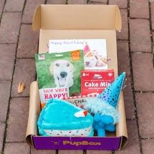 See more ideas about cat birthday, cat birthday party, cat party. Birthday Girl Puppy Dog Subscription Boxes Pupbox At Petco Dog Box Subscription Dog Subscription Boy Box