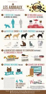 Si votre chienne ou chatte a une portée. Combien Y A T Il D Animaux De Compagnie En France