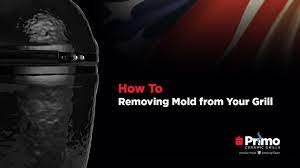Is Mold On A Grill Dangerous