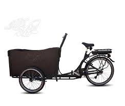 Tricycle Electrique Pour Transport De Personnes Hermes Tricycle Electrique Tricycle Triporteur