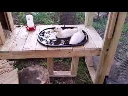 One very necessary component in raising ducks is the duck pond. How To Build A Self Cleaning Duck Pond Youtube Backyard Ducks Duck Coop Ponds Backyard
