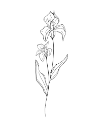Birth Month Flowers Iris February Iris Tattoo Iris Flower Tattoo Birth Flower Tattoos