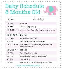 discover a new 8 month old schedule for your baby samples