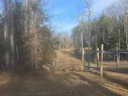 Image result for Springfield Irving Springfield VT