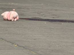 Qué significan los cochis de peluche en escenas de ataques en Culiacán? 🐷 #noticiasculiacan #ultimahora #hectorfranknoticias #sinaloa