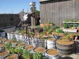 Healthy lunch recipes · bbq rainbow beef salad · fresh salmon with thai noodle salad · tomato penne with avocado · lime prawn cocktail pitta . Introducing Lunch At Sixpoint Where I M Cooking From Now Not Eating Out In New York