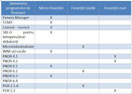 Antreprenorii din romania vor putea obtine fonduri europene nerambursabile din cel putin 8 linii de finantare destinate micilor af. Fonduri Nerambursabile In 2017 Pentru Microintreprinderi È™i Imm Uri