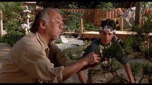 Japanese Garden Design Karate Kid Karate Karate Kid Japanese Garden Design