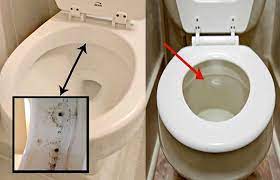 Next, clean out the jets on at a time, using allen wrenches. How To Clean Toilet Siphon Jets For A Stronger Flush Toiletseek