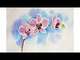 Drawing Lessons How To Draw An Orchid Whatercolour Flower Youtube Orchid Drawing Orchids Painting Flower Drawing