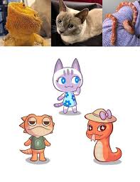 Drew My Pets As Villagers Animalcrossing Animal Crossing Funny Animal Crossing Characters Animal Crossing Fan Art