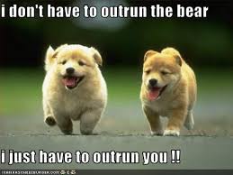 Writing an Algorithmic Trading Bot