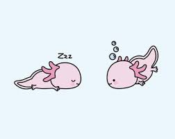 Kawaii Cute Cartoon Axolotl Kawaii Axolotl Drawing Novocom Top