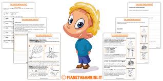 Il regno vegetale è un mio spazio personale che utilizzo per ripassare i miei studi scientifici e mantermi aggiornato. Le Parti Della Pianta Schede Didattiche Per La Scuola Primaria Pianetabambini It