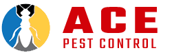 Providing premier service to commercial. Pest Control Mount Tabor 1800 033 756 Mount Tabor S No 1 Pest Controllers