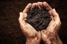 Our cubic yard calculator is a must for home improvement projects! How Much Does A Yard Of Topsoil Weigh Dirt Connections