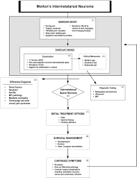 October 20, 1931 in danville, illinois, usa. Diagnosis And Treatment Of Forefoot Disorders Section 3 Morton S Intermetatarsal Neuroma The Journal Of Foot And Ankle Surgery