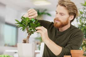 Для просмотра онлайн кликните на видео ⤵. Entretien Du Bonsai Comment En Prendre Soin La Pause Jardin