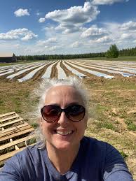 Helping farmers with strawberry planting in Alaska