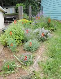 Aromatherapy For Christians Garden Photos Beautiful Gardens Plants