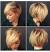 Round Face Short Asymmetrical Bob