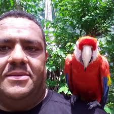 How much notice should a District Governor give for their official visit to  clubs?