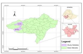 Image result for Eriosema jurionianum