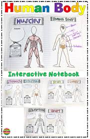 Human Body Systems Body Systems Interactive Notebook Human Body Systems Body Systems