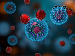 Image result for Hematologic Cancer