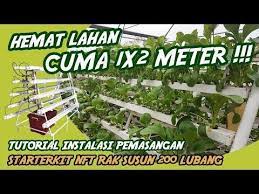 Perawatan Mudah Bisnis Sayuran Perkotaan Sistem Nft Skala Industri Hidroponik Nft Lobster Youtube Hidroponik Tanaman Ide Berkebun