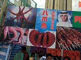 Is shark meat halal or haram?. Is Octopus Halal Hanafi